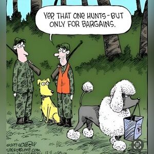 FREE 🆕Multi Coloured Leggings